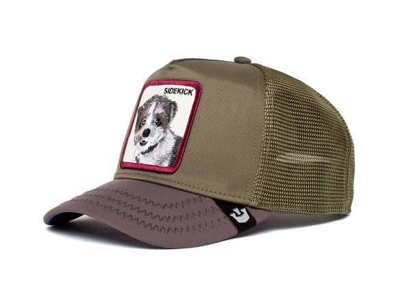 Gorra Goorin Baseball Fowlers Favorite