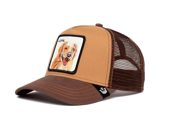 Gorra Goorin Baseball The Loyal Dog